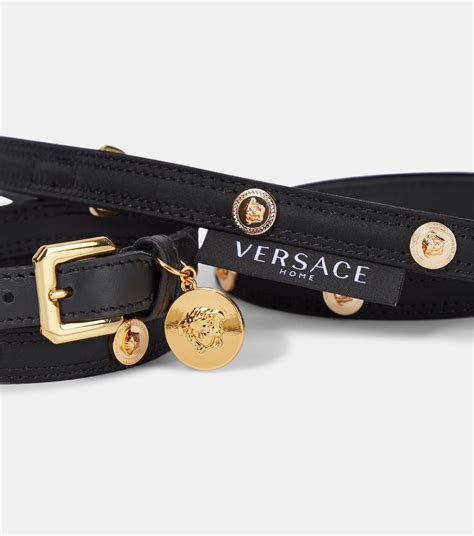 versace collar|versace dog collar and leash.